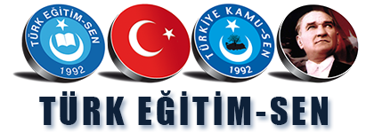 Türk Eğitim-Sen Logo